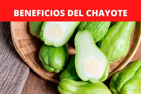 Beneficios del chayote