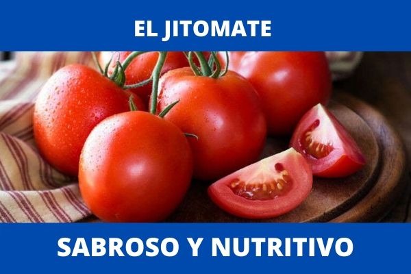 El jitomate: sabroso y nutritivo