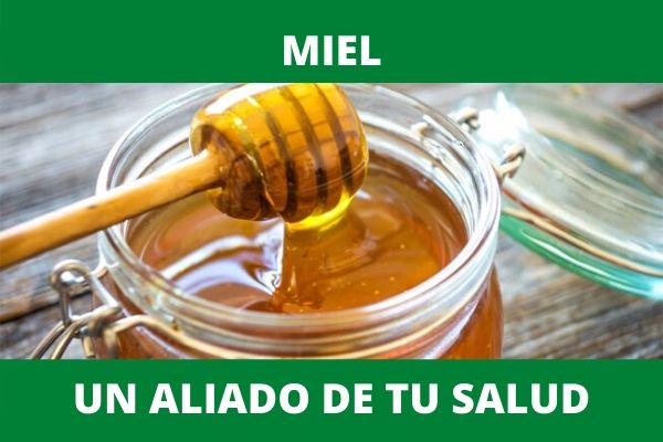 La miel: un alimento aliado de tu salud